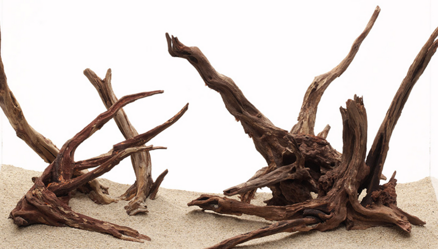 Slim Wood driftwood aquarium decor natural aquascaping wood (sold per pcs)
