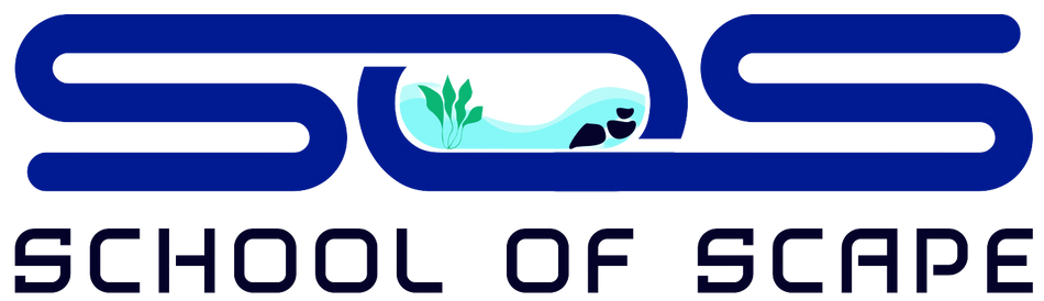 Aquascaping Tools – School Of Scape