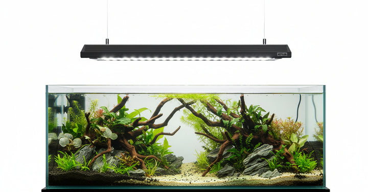 Netlea Lights (Voice Controlled - New)