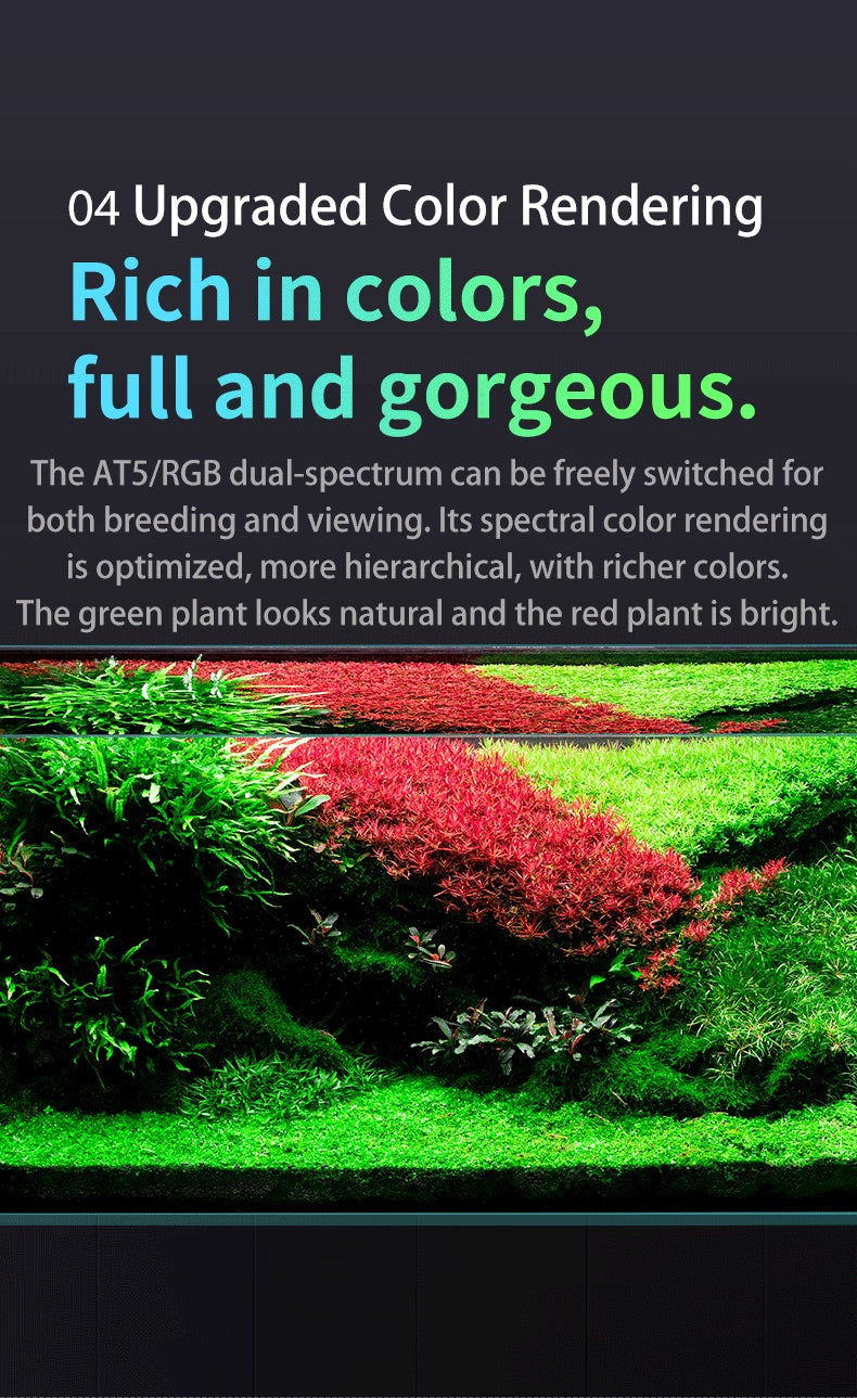 Netlea Lights (Voice Controlled - New)