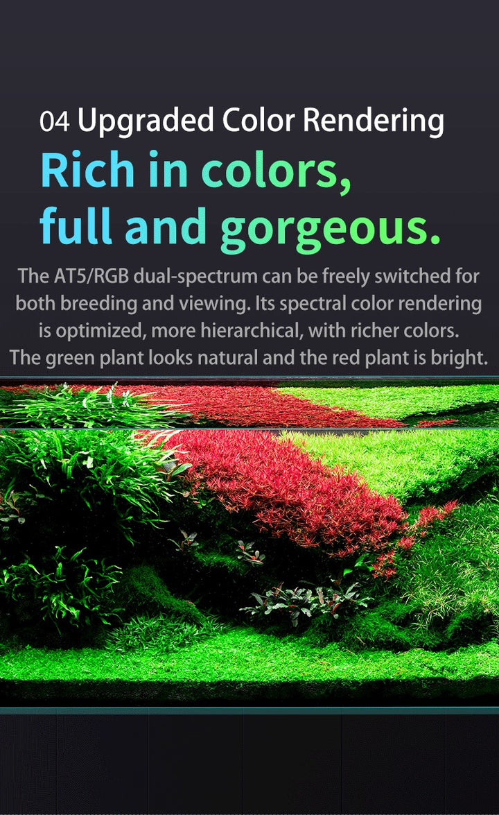 Netlea Lights (Voice Controlled - New)