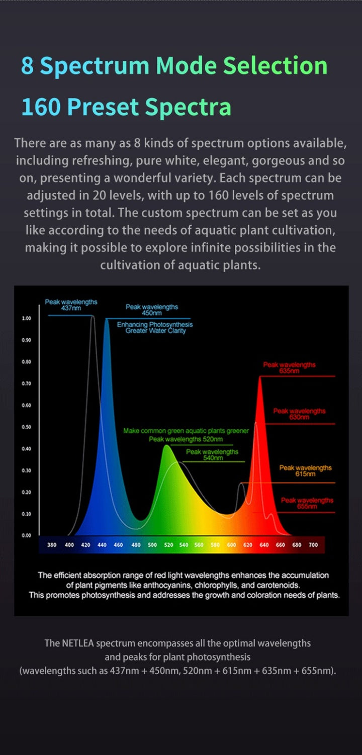 Netlea Lights (Voice Controlled - New)