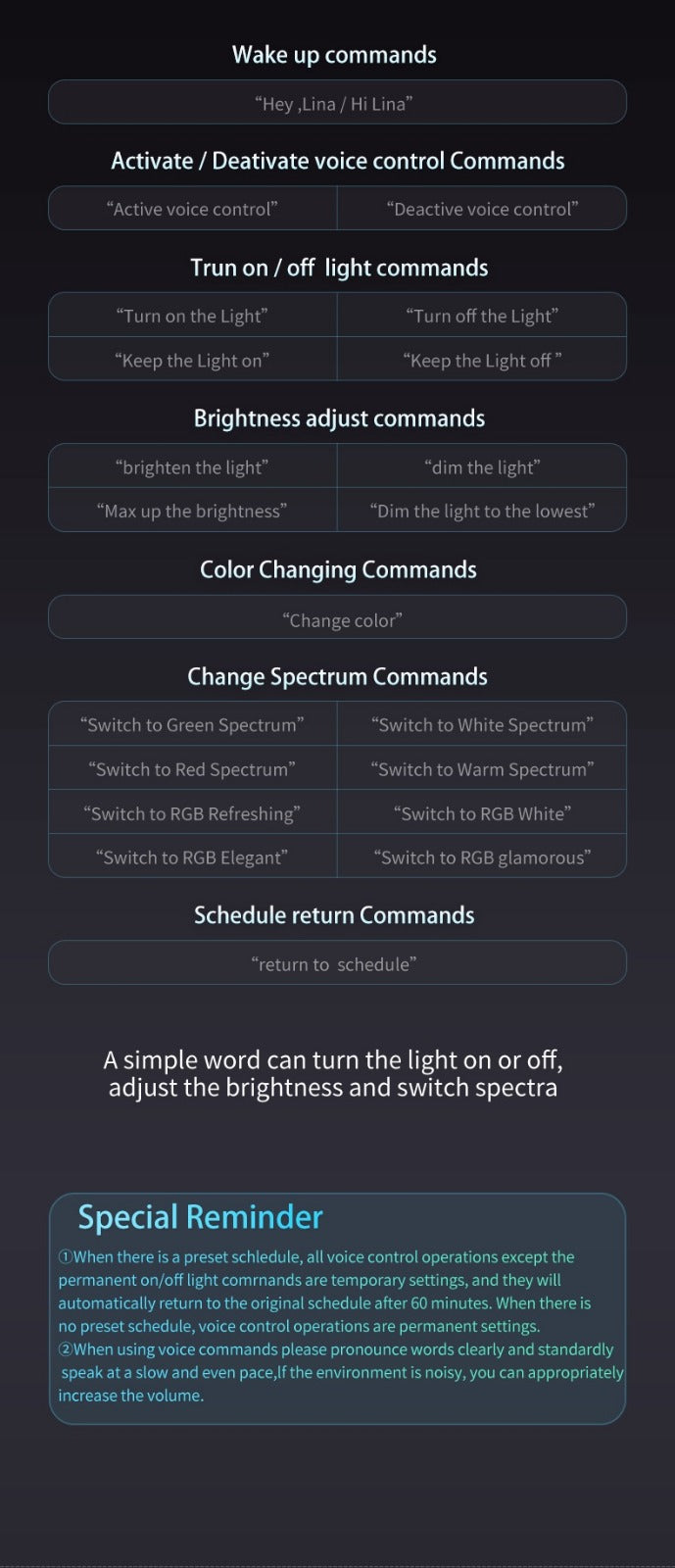 Netlea Lights (Voice Controlled - New)