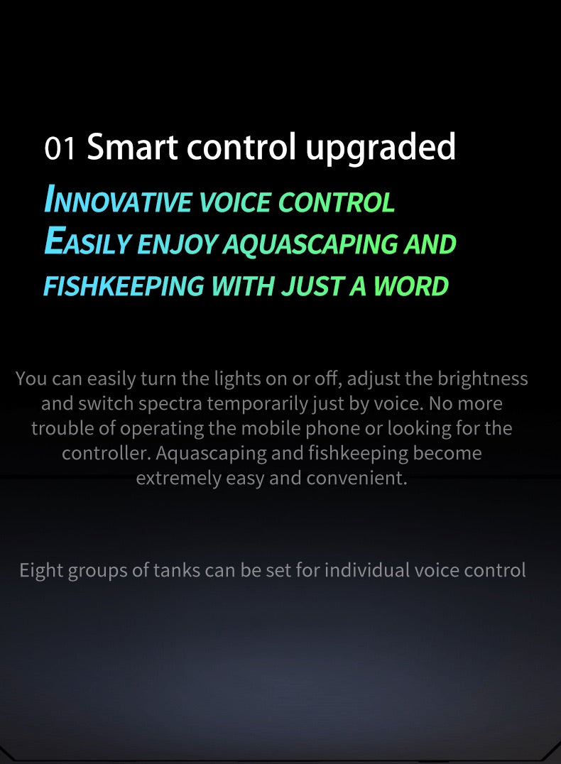 Netlea Lights (Voice Controlled - New)