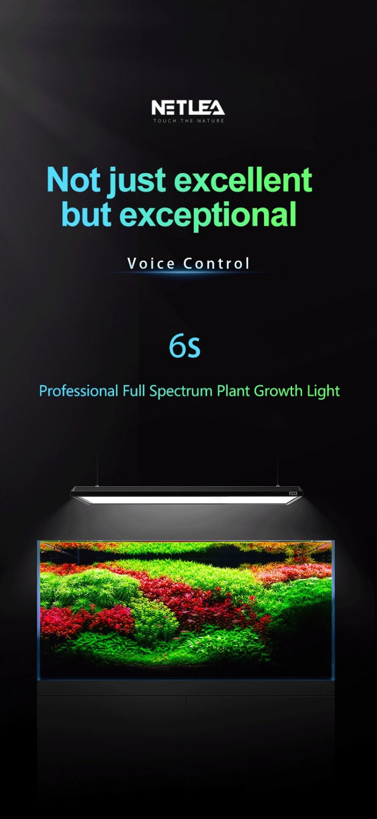 Netlea Lights (Voice Controlled - New)