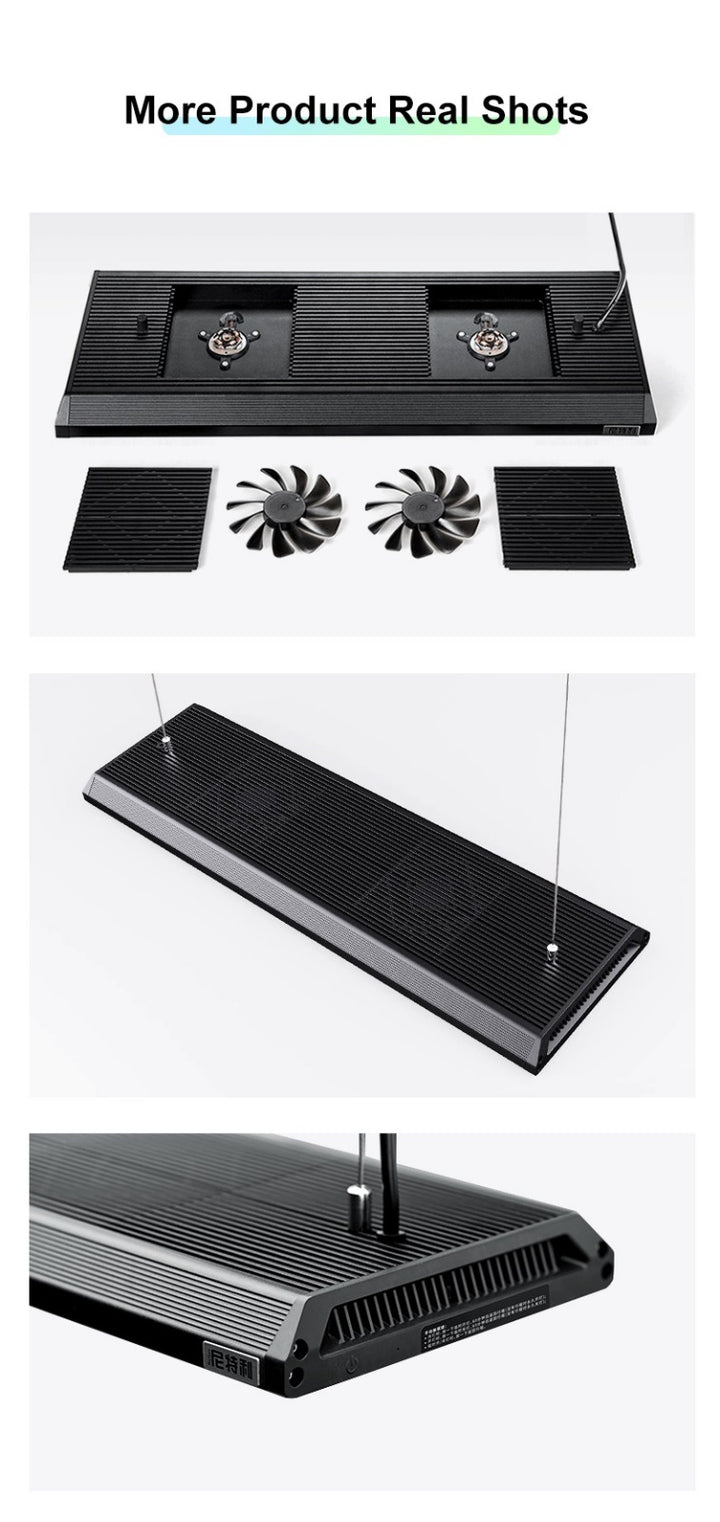 Netlea Lights (Voice Controlled - New)