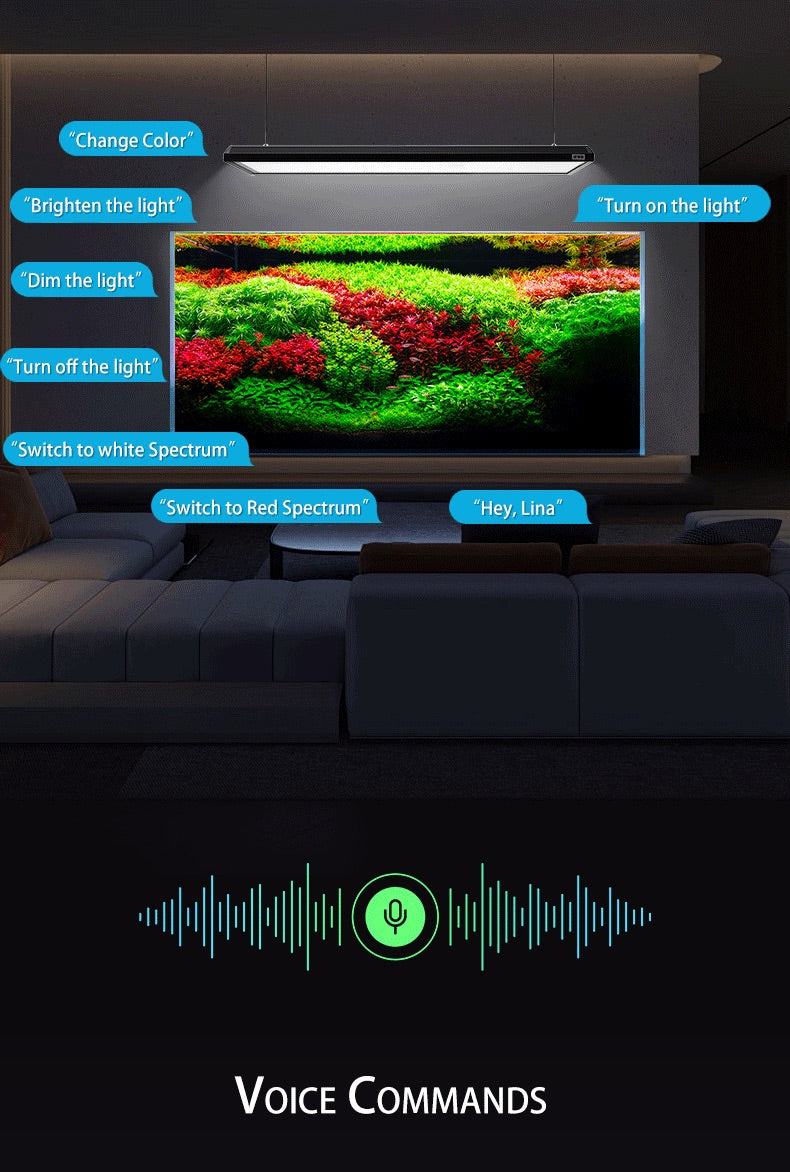 Netlea Lights (Voice Controlled - New)