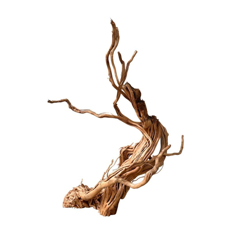 Azalea Wood - Premium Natural Driftwood for Aquascaping (per kg)