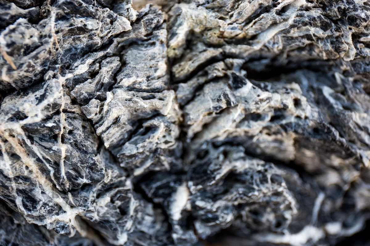 Dark Seiryu Stone, view 8