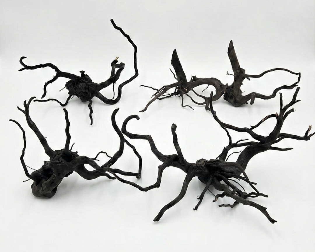 Blackforest Root, dark decorative branches