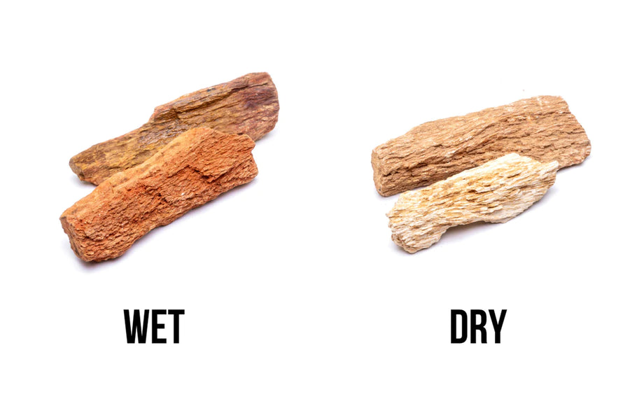 Buy Red Fossil Wood