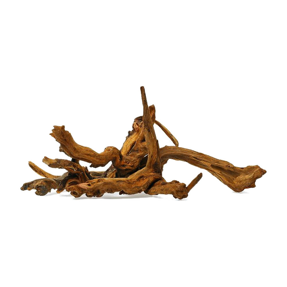 Dark Ironwood