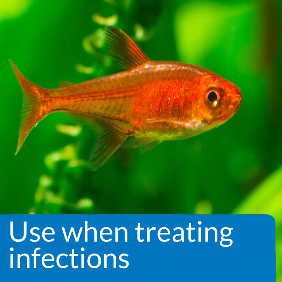 API Pimafix Natural Antifungal Fish Remedy