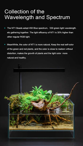 NETLEA NTA16 Desktop Landscape LED Light (16W)