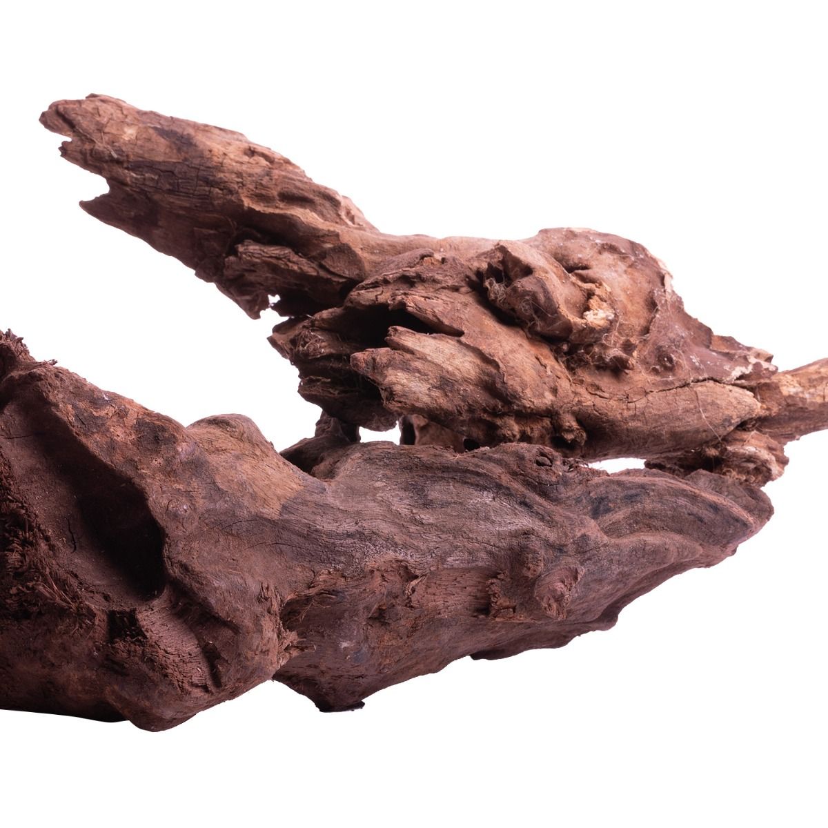 Dark Iron Wood, view 10