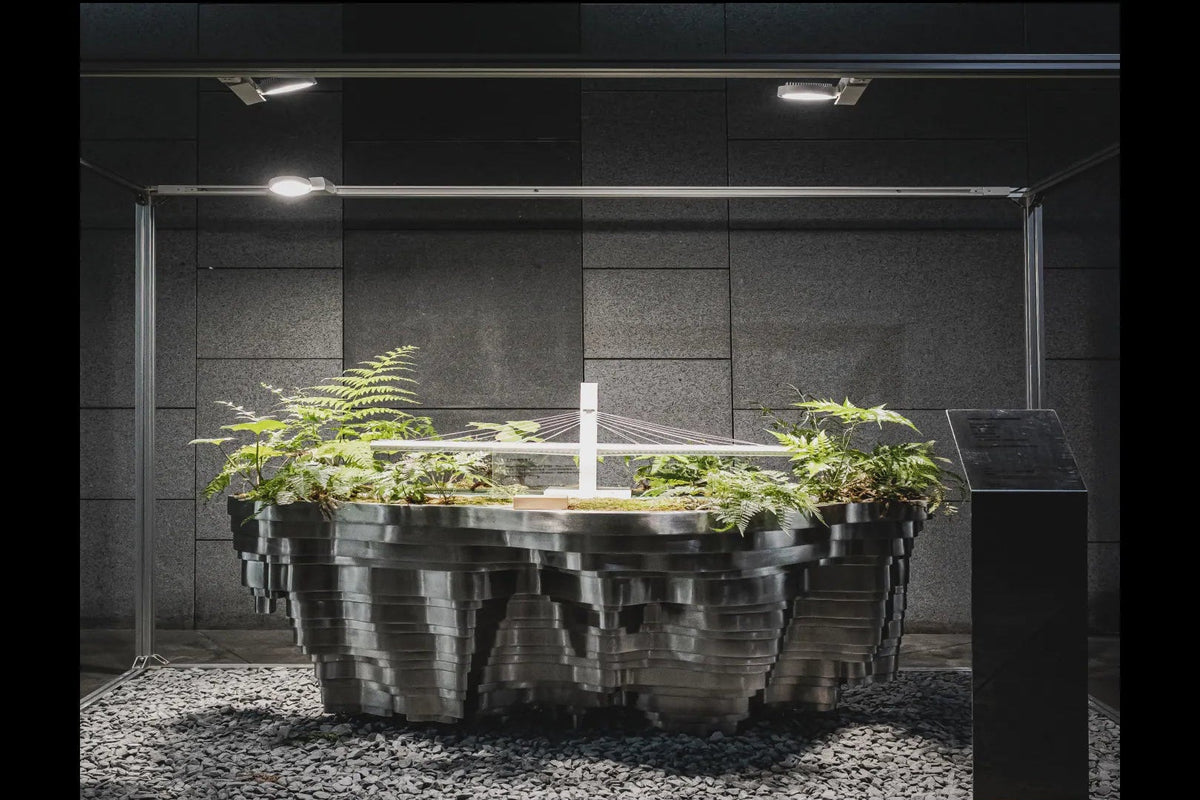 ONF N10° Helios 20W Full Spectrum Plant Light, lighting an indoor garden with plants and a water feature