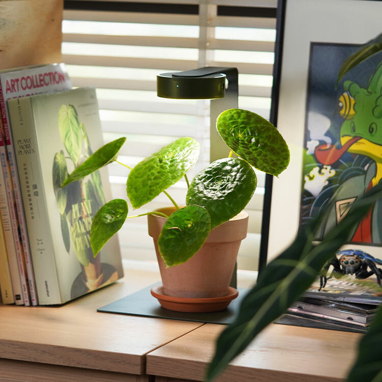 ONF MIST O+ Smart LED Plant Light + Stand Bundle