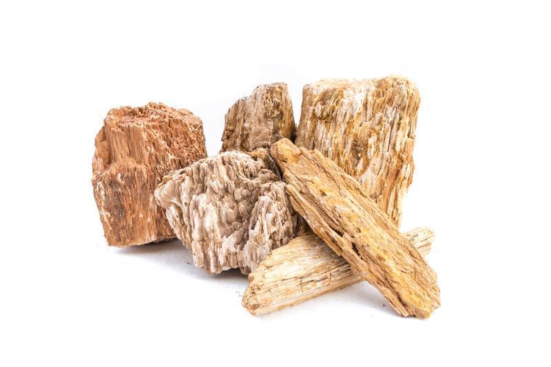 Red Fossil Wood, view 6