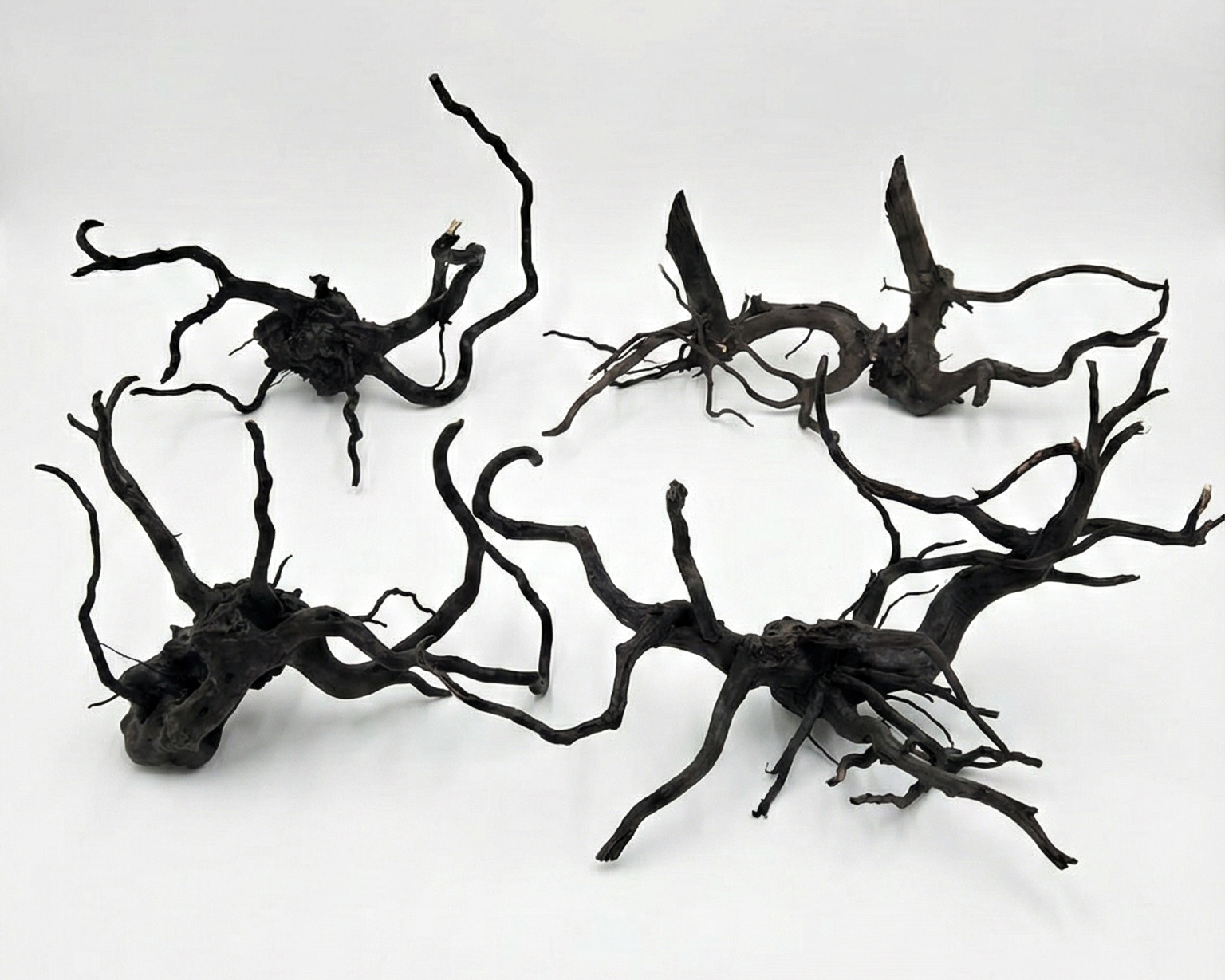 Blackforest Root - Rare Dark Aquascaping Driftwood | School Of Scape