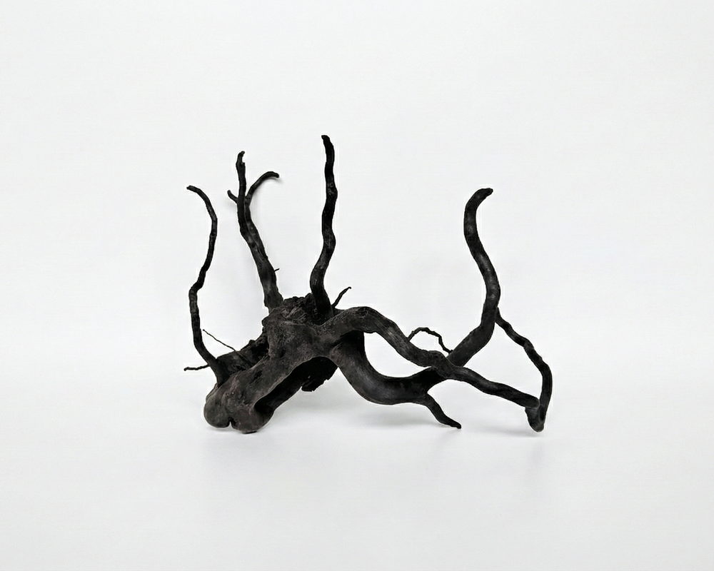 Black dried tree branch 