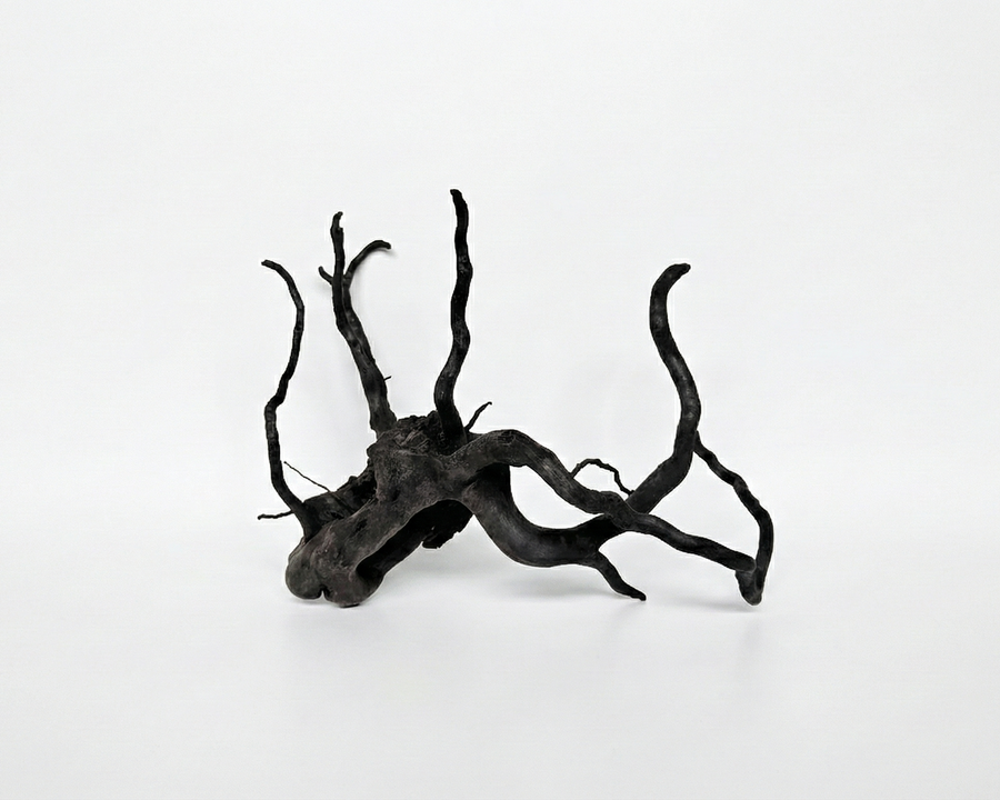 Black dried tree branch 