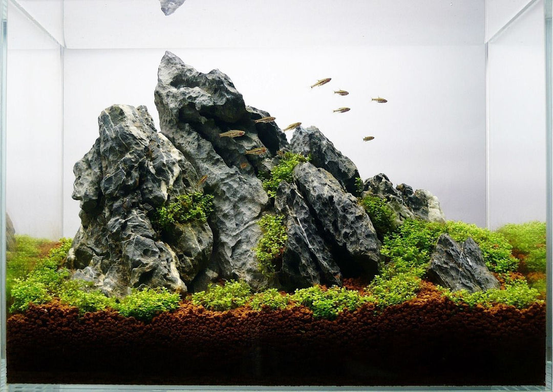 Seiryu Stone for aquascaping