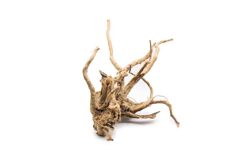 Buy Best Price Wood Root