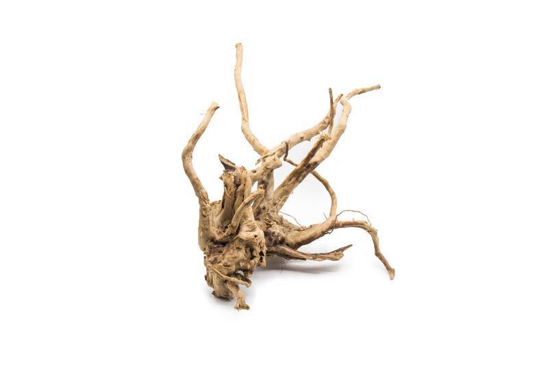 Wood Root (Spiderwood), view 4