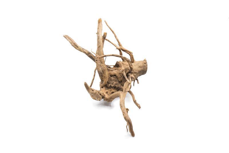 Wood Root (Spiderwood), view 6