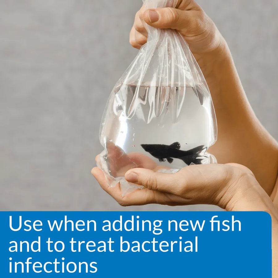 API Melafix Natural Bacterial Fish Remedy