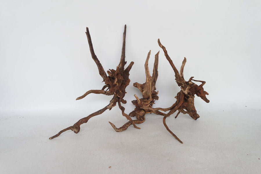 Slim Wood driftwood aquarium decor natural aquascaping wood (sold per pcs)
