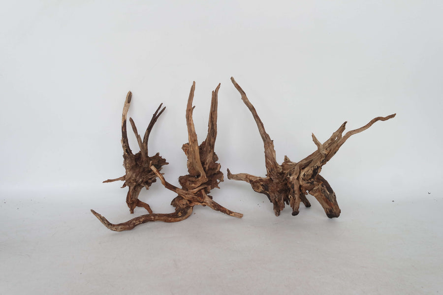 Slim Wood driftwood aquarium decor natural aquascaping wood (sold per pcs)