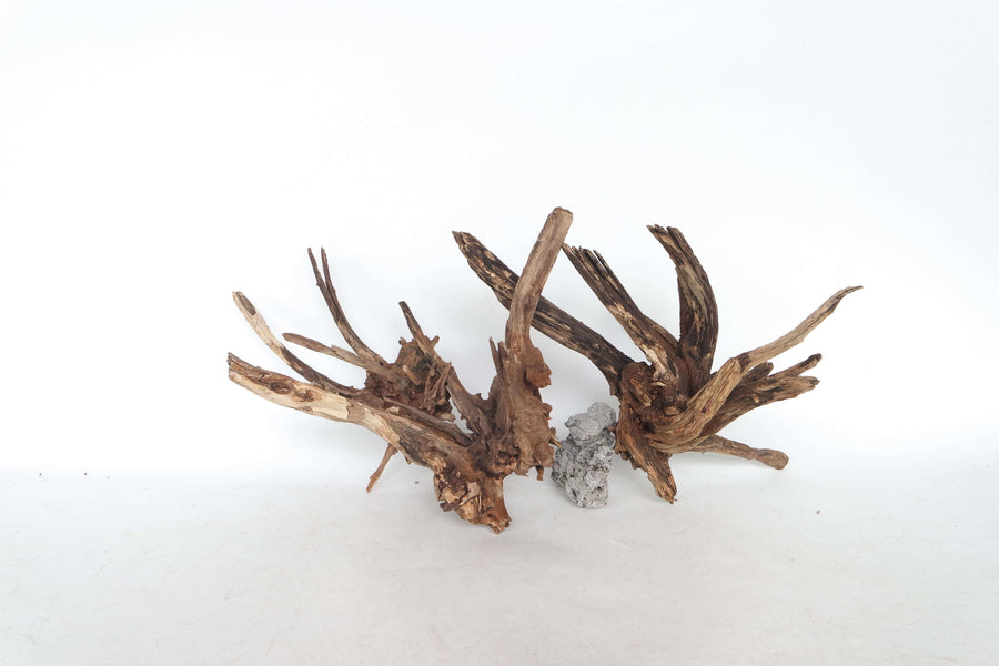 Slim Wood driftwood aquarium decor natural aquascaping wood (sold per pcs)