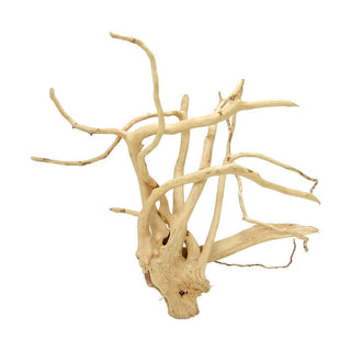 Wood Root (Spiderwood)
