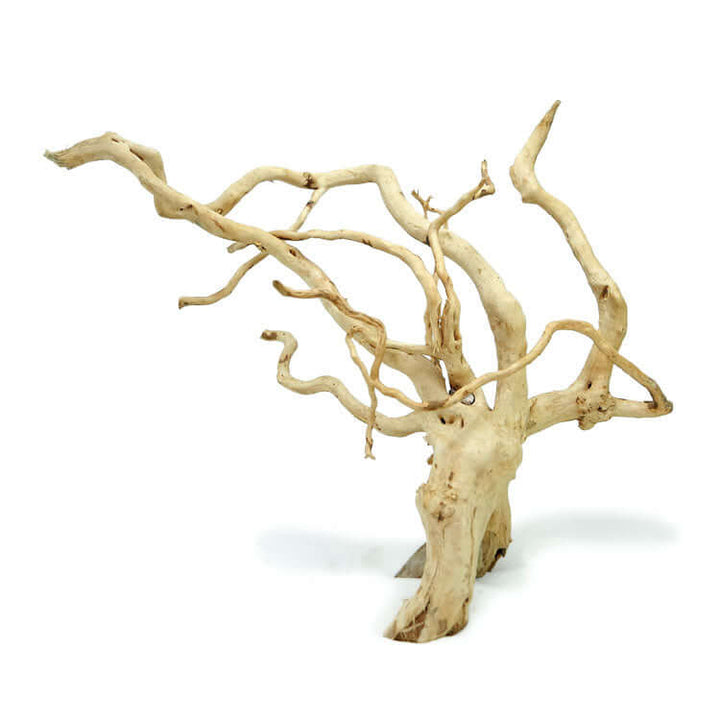 Pro Scape Spiderwood (Azalea Root)