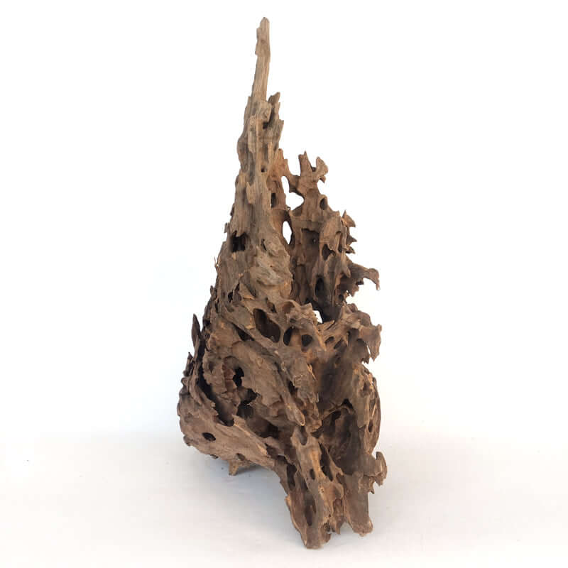 Honeycomb Wood, view 4
