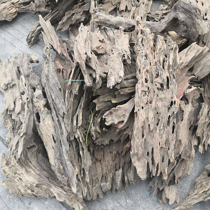 Buy Honeycomb wood for Aquarium