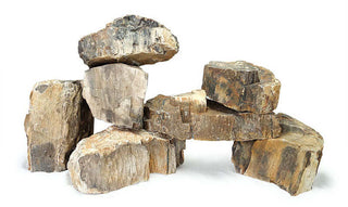 Petrified Wood (Fossil Wood)
