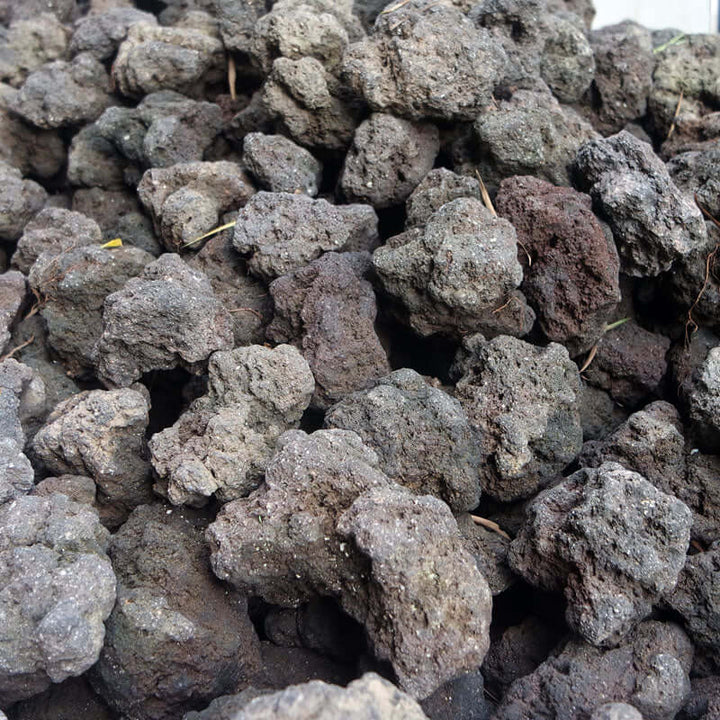 Black Rose Lava Rock (6-10cm sizes)
