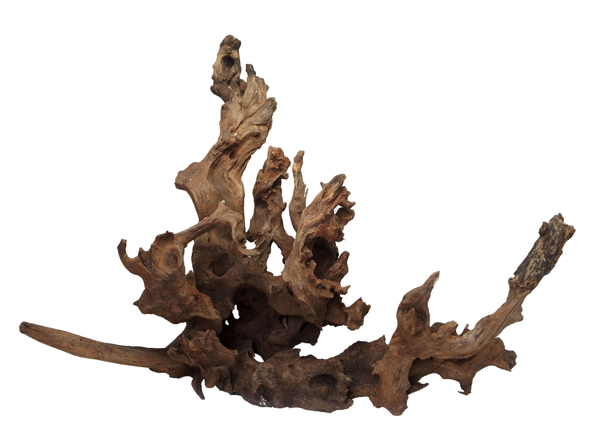 Dark Iron Wood, view 3
