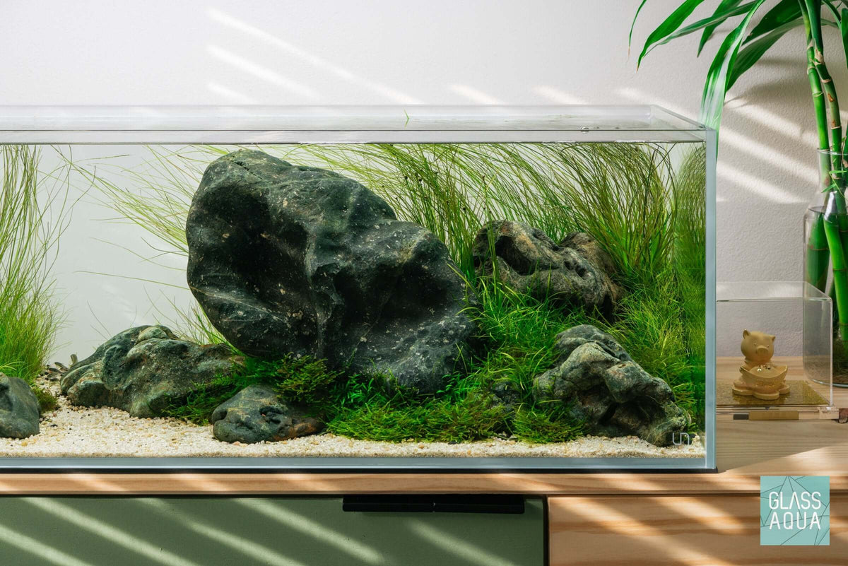 Hakkai Stone, view 6