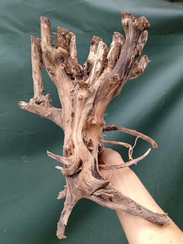 Slim Wood driftwood aquarium decor natural aquascaping wood (sold per pcs)