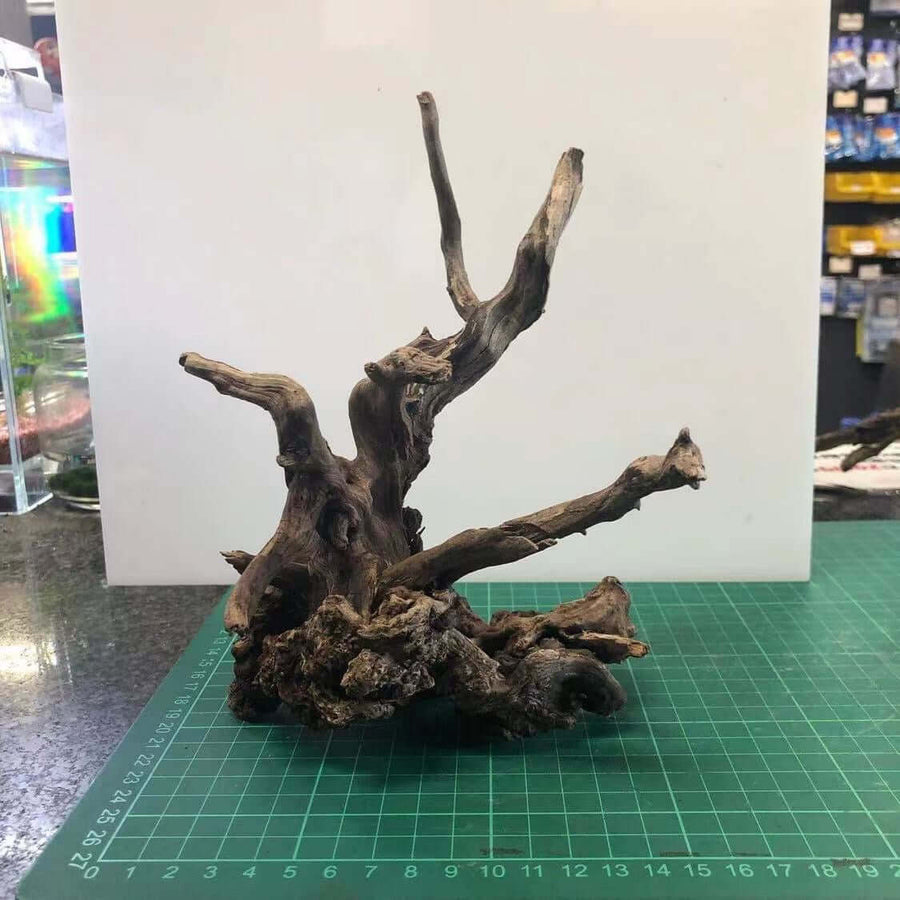 Slim Wood driftwood aquarium decor natural aquascaping wood (sold per pcs)